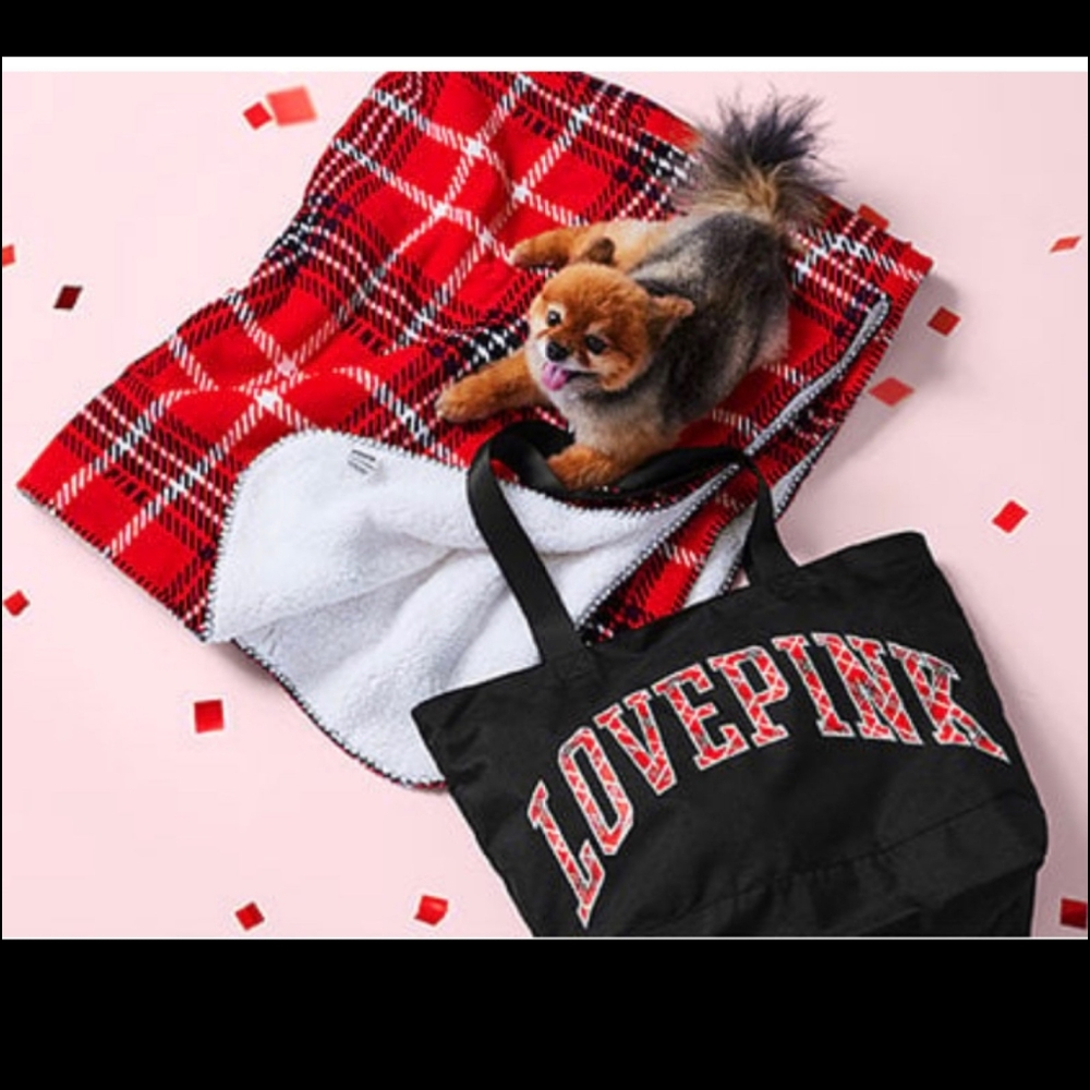 PINK NWT 2022 Holiday Blanket & Tote